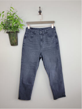 AE 8 S American Eagle High Rise Curvy Mom Jeans Faded Black Relaxed Tapered 90s